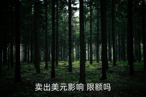 中國換匯限額,換匯限額是從什么時候開始算的