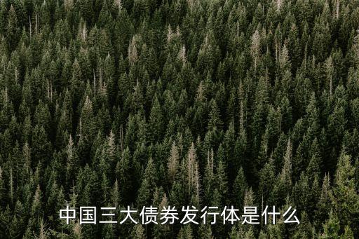 中國(guó)三大債券發(fā)行體是什么