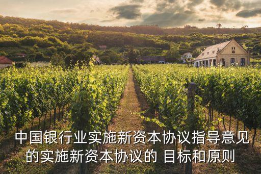  中國銀行業(yè)實施新資本協(xié)議指導意見的實施新資本協(xié)議的 目標和原則
