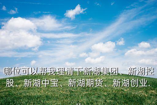 哪位可以幫我理清下新湖集團、新湖控股、新湖中寶、新湖期貨、新湖創(chuàng)業(yè)...
