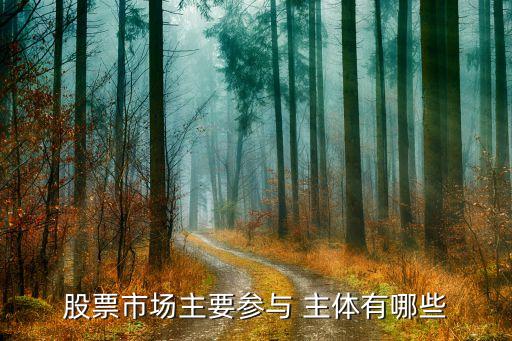 股票市場(chǎng)主要參與 主體有哪些