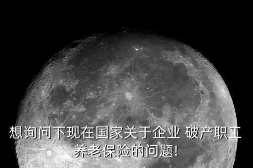 想詢問下現在國家關于企業(yè) 破產職工養(yǎng)老保險的問題!