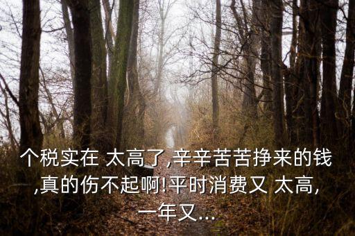 個稅實在 太高了,辛辛苦苦掙來的錢,真的傷不起啊!平時消費(fèi)又 太高,一年又...