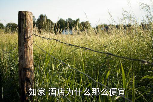 上海如家快捷酒店經(jīng)營成果分析,上海火車站如家快捷酒店地址