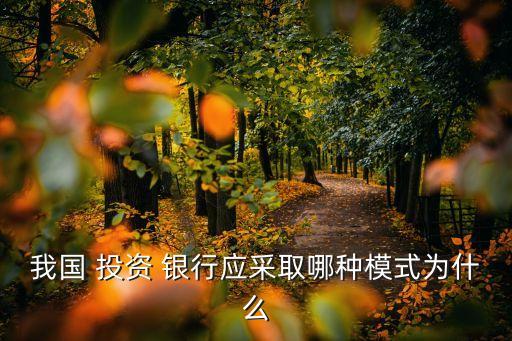 我國 投資 銀行應采取哪種模式為什么