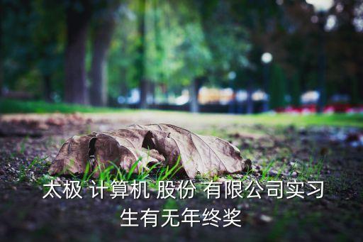 太極計(jì)算機(jī)股份有限公司待遇,北京太極計(jì)算機(jī)股份有限公司是國企嗎