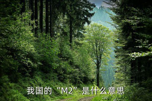 我國(guó)的“M2”是什么意思