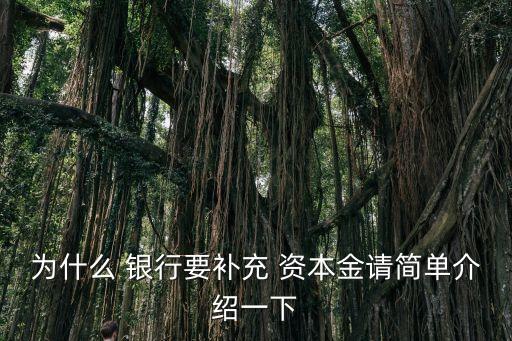 銀行資本金要求,銀行對(duì)項(xiàng)目資本金要求