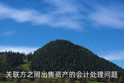 關(guān)聯(lián)方之間出售資產(chǎn)的會計(jì)處理問題