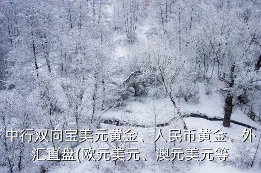 中行雙向?qū)毭涝S金、人民幣黃金、外匯直盤(歐元美元、澳元美元等