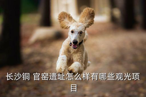 長(zhǎng)沙銅 官窯遺址怎么樣有哪些觀光項(xiàng)目