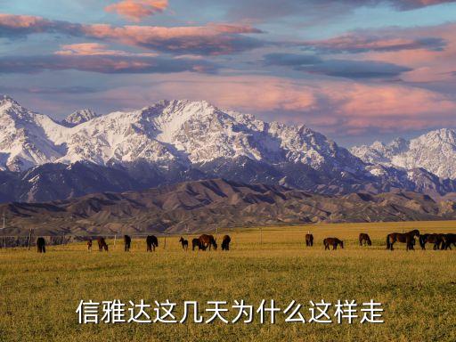 信雅達投資擔(dān)保公司,投資擔(dān)保公司注冊需要什么條件