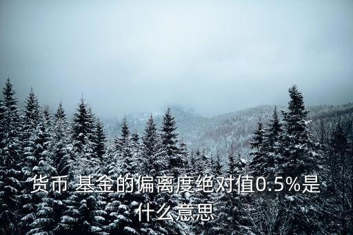 基金影子定價,攤余成本影子定價