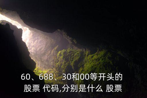 60、688、30和00等開頭的 股票 代碼,分別是什么 股票