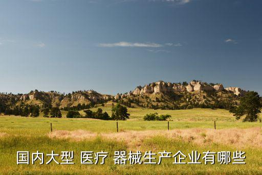 國內大型 醫(yī)療 器械生產(chǎn)企業(yè)有哪些