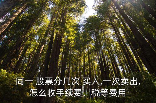同一 股票分幾次 買入,一次賣出,怎么收手續(xù)費(fèi)、稅等費(fèi)用