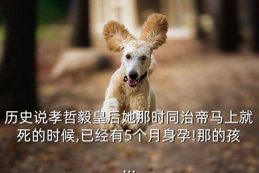 歷史說孝哲毅皇后她那時同治帝馬上就死的時候,已經有5個月身孕!那的孩...