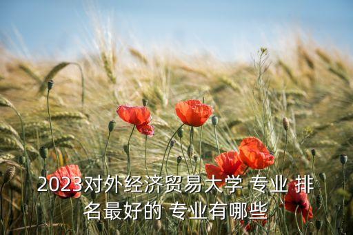 2023對外經(jīng)濟貿(mào)易大學(xué) 專業(yè) 排名最好的 專業(yè)有哪些