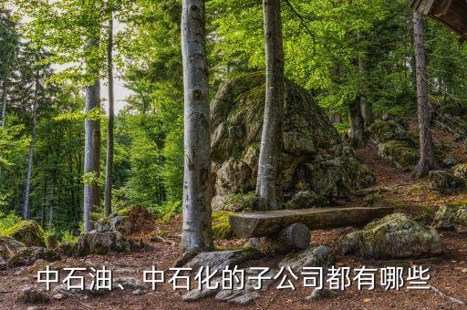 中石油、中石化的子公司都有哪些