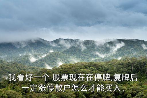 我看好一個(gè) 股票現(xiàn)在在停牌,復(fù)牌后一定漲停散戶怎么才能買入、