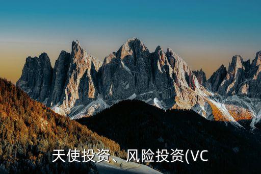天使投資、風(fēng)險(xiǎn)投資(VC
