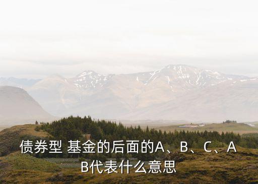 債券型 基金的后面的A、B、C、AB代表什么意思
