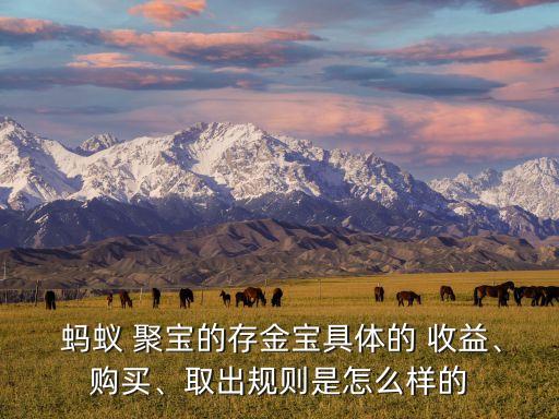  螞蟻 聚寶的存金寶具體的 收益、購買、取出規(guī)則是怎么樣的