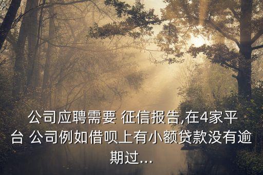  公司應(yīng)聘需要 征信報(bào)告,在4家平臺(tái) 公司例如借唄上有小額貸款沒有逾期過(guò)...