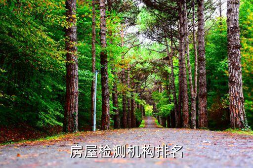 北京神洲商橋技術服務有限公司