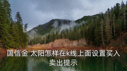 國(guó)信金 太陽(yáng)怎樣在k線上面設(shè)置買入賣出提示