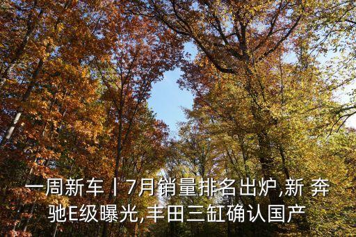 一周新車(chē)丨7月銷(xiāo)量排名出爐,新 奔馳E級(jí)曝光,豐田三缸確認(rèn)國(guó)產(chǎn)