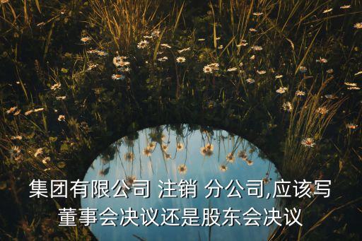 關于注銷分公司的議案