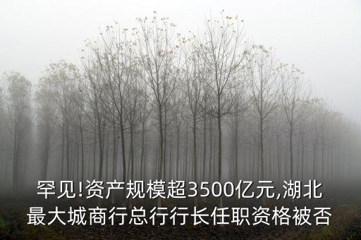 罕見!資產規(guī)模超3500億元,湖北最大城商行總行行長任職資格被否