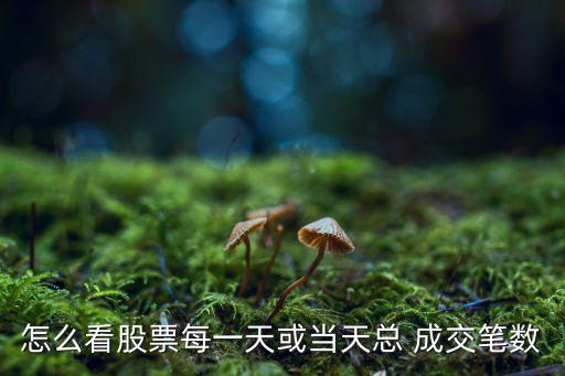 怎么看股票每一天或當天總 成交筆數