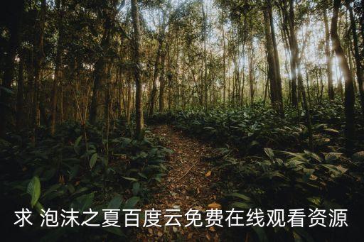 求 泡沫之夏百度云免費(fèi)在線(xiàn)觀看資源