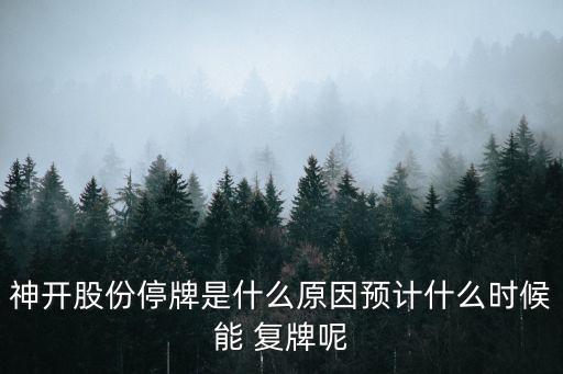 神開股份停牌是什么原因預計什么時候能 復牌呢
