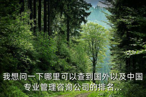 我想問一下哪里可以查到國(guó)外以及中國(guó)專業(yè)管理咨詢公司的排名...