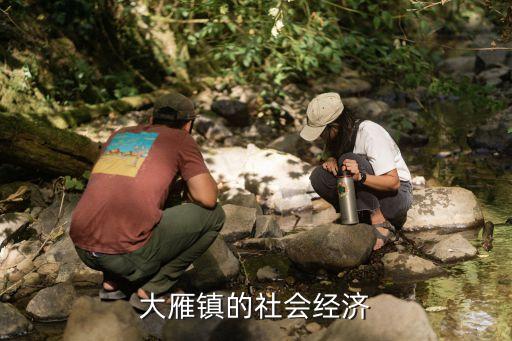 大雁鎮(zhèn)的社會經濟