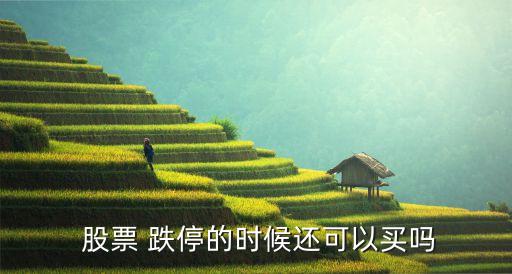  股票 跌停的時(shí)候還可以買(mǎi)嗎