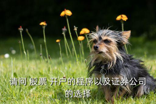 請(qǐng)問(wèn) 股票 開(kāi)戶(hù)的程序以及證券公司的選擇