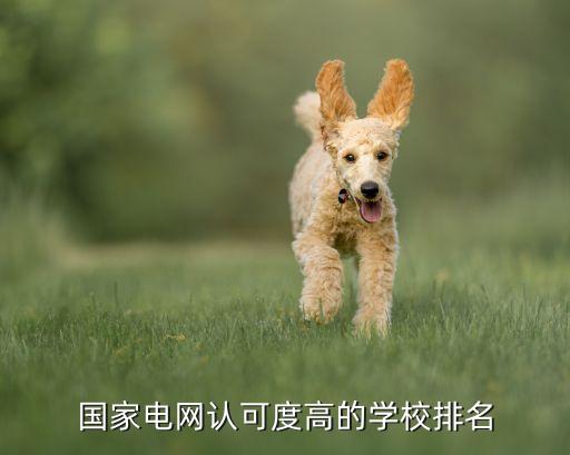 國家電網(wǎng)認可度高的學校排名