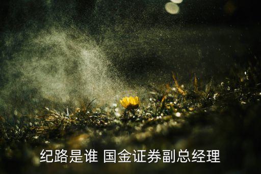 紀路是誰 國金證券副總經理