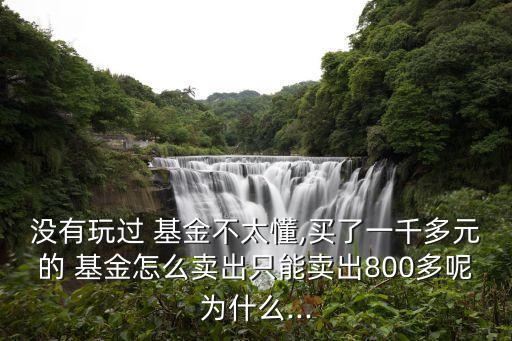 沒(méi)有玩過(guò) 基金不太懂,買(mǎi)了一千多元的 基金怎么賣出只能賣出800多呢為什么...