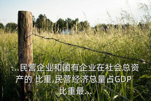 ...民營企業(yè)和國有企業(yè)在社會總資產(chǎn)的 比重,民營經(jīng)濟(jì)總量占GDP 比重最...