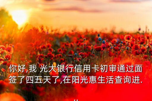 你好,我 光大銀行信用卡初審?fù)ㄟ^(guò)面簽了四五天了,在陽(yáng)光惠生活查詢(xún)進(jìn)...