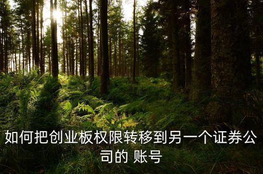如何把創(chuàng)業(yè)板權限轉移到另一個證券公司的 賬號