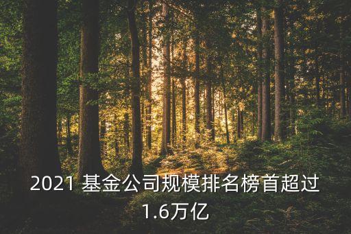 第八屆金?；鸺敖鹋；鸸精@獎(jiǎng)名單