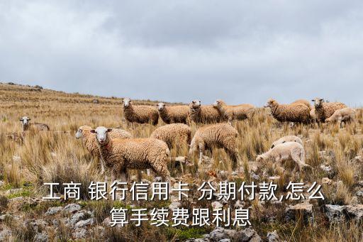 分期付款工商銀行,apple store分期付款工商銀行