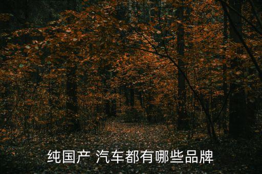 純國(guó)產(chǎn) 汽車都有哪些品牌