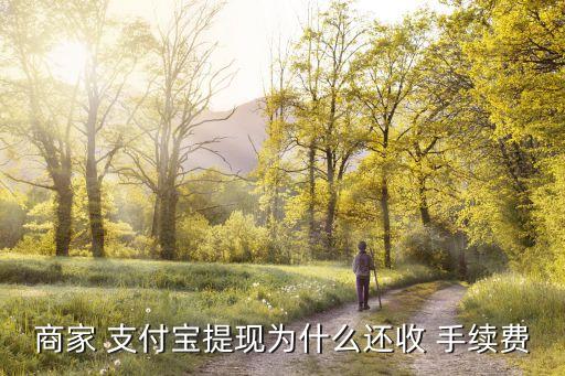 商家 支付寶提現(xiàn)為什么還收 手續(xù)費